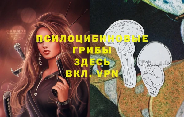 круглые Покачи