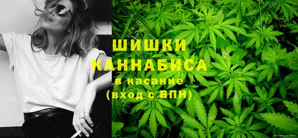 гашик Пестово