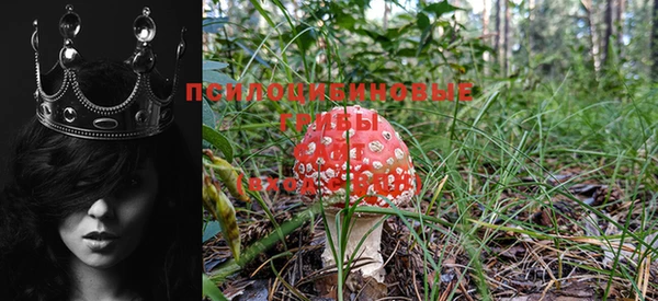 круглые Покачи