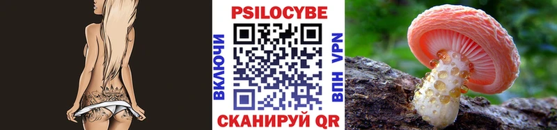 продажа наркотиков  Лыткарино  hydra   Галлюциногенные грибы Psilocybine cubensis 