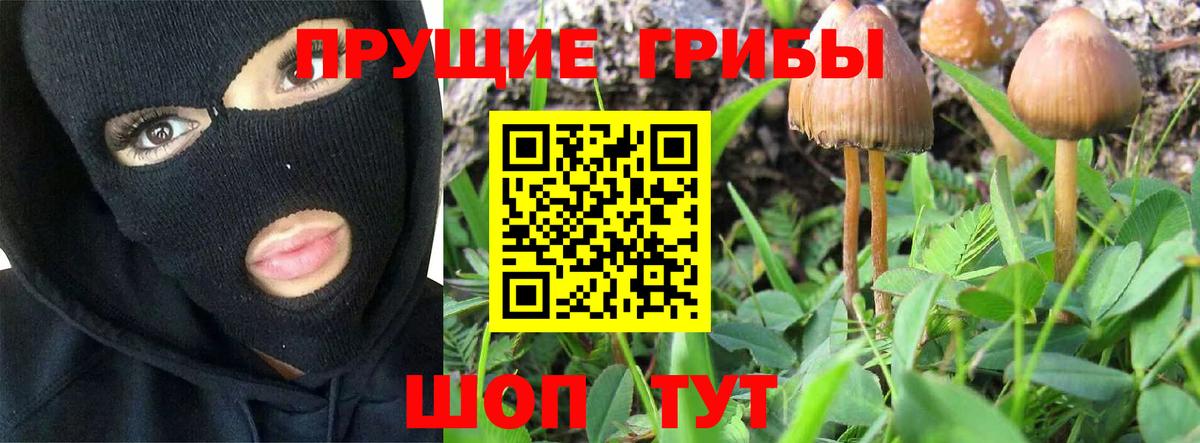Псилоцибиновые грибы ЛСД  Вход с VPN  Галлюциногенные грибы Psilocybe  Лыткарино 